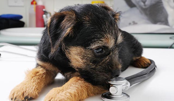 Peninsula Vet Care - Rosebud, VIC