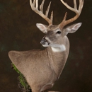 Antler Ridge Taxidermy, LLC.