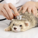 Cumberland Animal Hospital - Veterinary Clinics & Hospitals