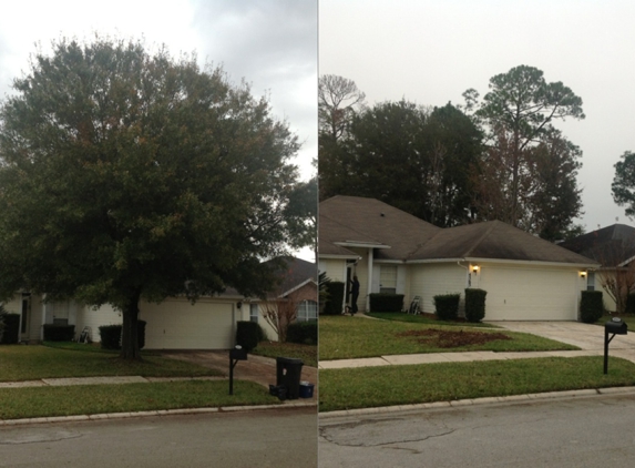 Greenwise Tree Surgeons - Jacksonville, FL