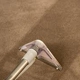 Dirtless Carpet Cleaning