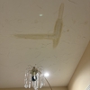 A-Plus Ceiling & Wall Repair gallery