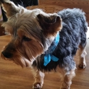 Joey's Bark & Bath - Pet Grooming