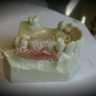 Dental plus laboratory