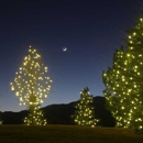 Denver Christmas Light Displays - Holiday Lights & Decorations