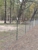 Champion Services Group - Fence Repair