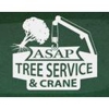 ASAP Tree and Crane Services gallery