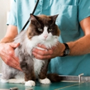 Vetcare for Pets Animal Hospital - Veterinary Clinics & Hospitals