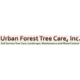 Urban Forest Tree Care