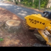 All Season Stump Grinding gallery