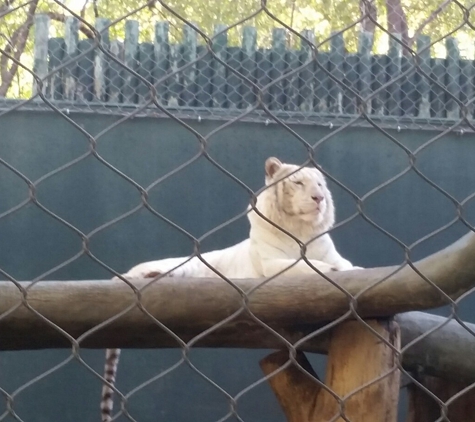 Siegfried & Roy Theater - Las Vegas, NV