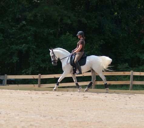 Deanna Thompson Dressage - Catawba, SC