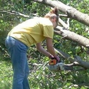 Boyd Tree Service - Arborists