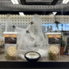 Petsense by Tractor Supply gallery