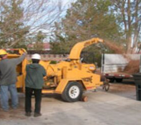 Nevada Tree Service - Las Vegas, NV