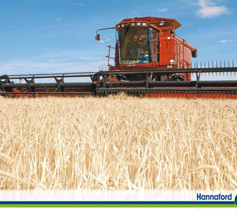 Brian & Gilbert Turner - Boston, SA. Harvesting Season  Hannaford Seeds