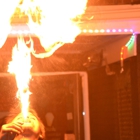 Ant the Firebreather