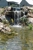 Pondbuddy - Ponds, Lakes & Water Gardens Construction