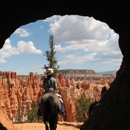 Canyon Trail Rides - Horse Rentals