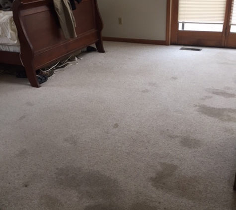 Magna Dry Carpet & Upholstery - Middletown, OH. before