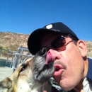 The K-9 Handler