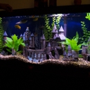 Totally Tanked Aquarium Services - Aquariums & Aquarium Supplies