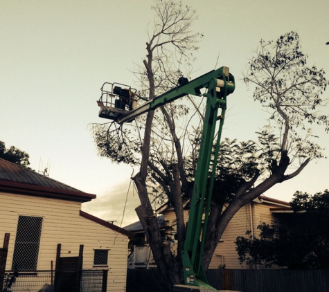 Bundy & Bargara Tree Service - Bundaberg North, QLD