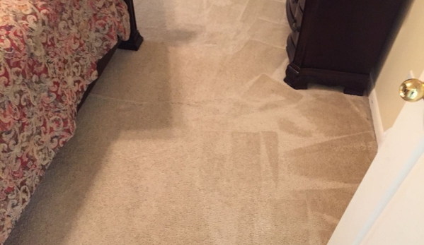 All Carpets Rus Carpet Cleaning Houston - Houston, TX. Best carpet cleaning service in houston