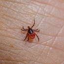 Eagle ProServices, Inc. - Pest Control Equipment & Supplies