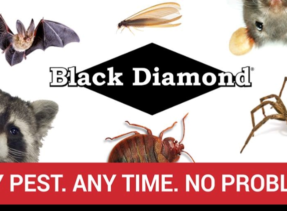 Black Diamond Pest Control - Indianapolis, IN