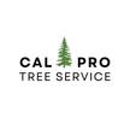 California Professional Tree Service - Tree Service