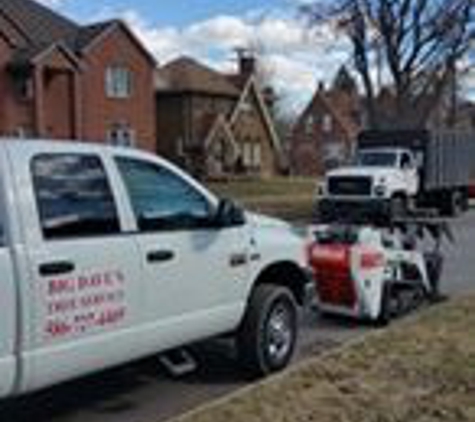 Big Dave's Tree Service - Highland Park, MI