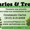 Carlos & Trees gallery