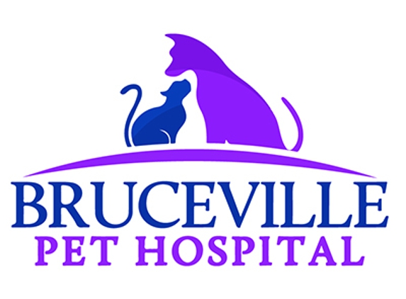 Bruceville Pet Hospital - Elk Grove, CA