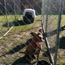 Long Rescue Beach Mission - Animal Shelters