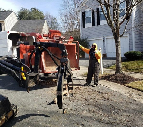 J & B Tree Services - Gaithersburg, MD