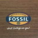 Fossil - Watches