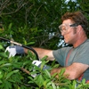 America's Tree Service gallery