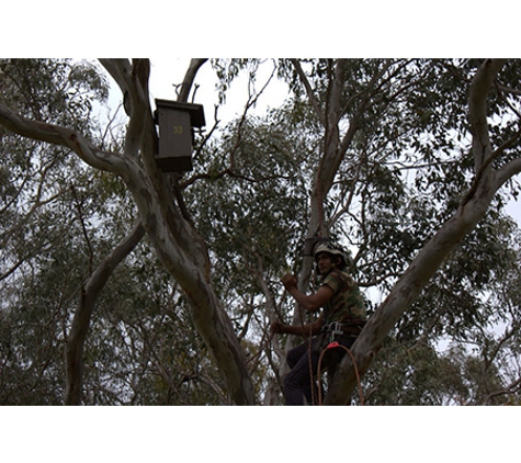 Oliver Shoemark Tree Service Pty Ltd - West Bathurst, NSW