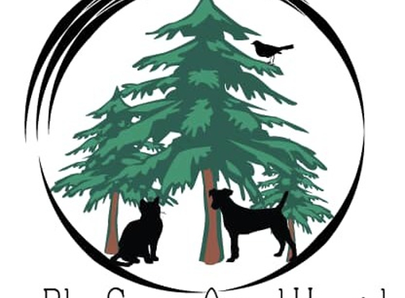 Blue Spruce Animal Hospital - Evergreen, CO