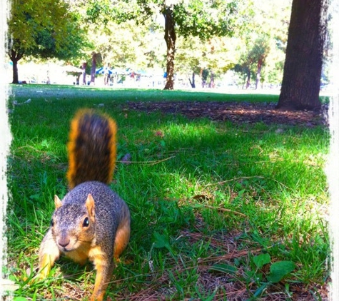 Warner Ranch Park - Woodland Hills, CA