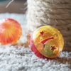 Affordable Carpet Cleaning gallery