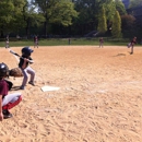 The Baseball Center NYC - Batting Cages