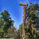 Sugar Creek Tree Care - Arborists