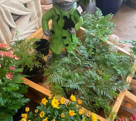 Highfields Garden Centre - Highfields, QLD