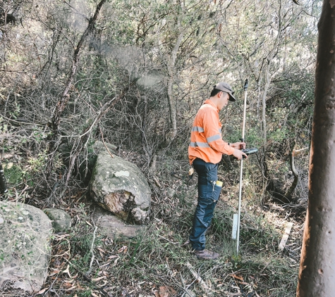 Song Knight Land Surveyors - Croydon, NSW. Detail Surveys