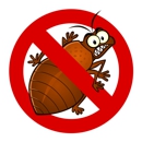 Bed Bug Exterminators - Pest Control Services