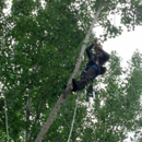 Missoula Valley Tree Service - Tree Service