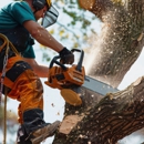 Arvada Tree Service - Tree Service