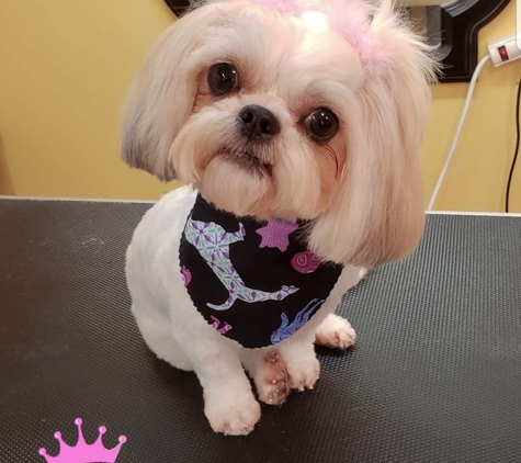 Dog Life Salon and Resort LLC - Centerville, GA